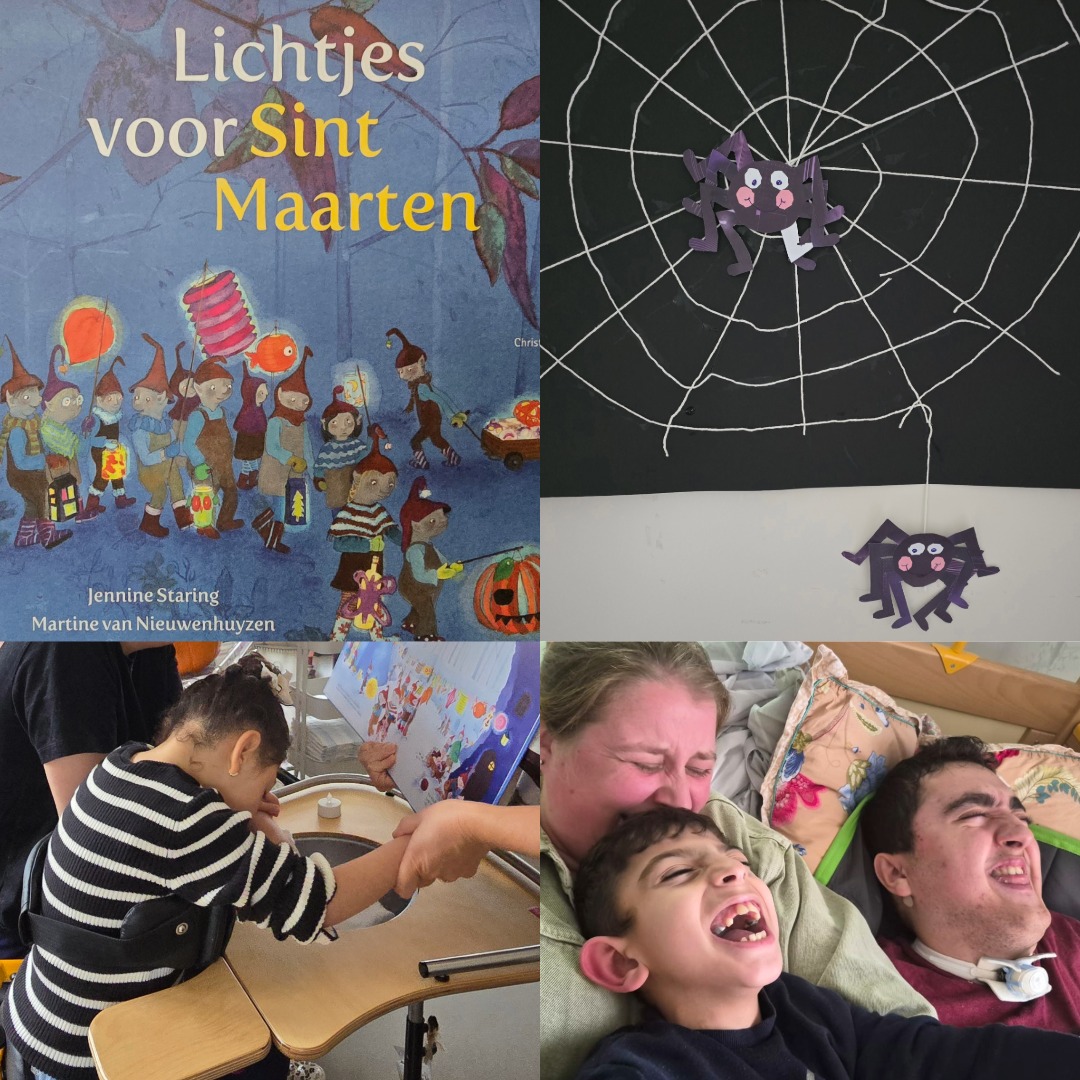 Herfstactiviteit Sint Maarten 2